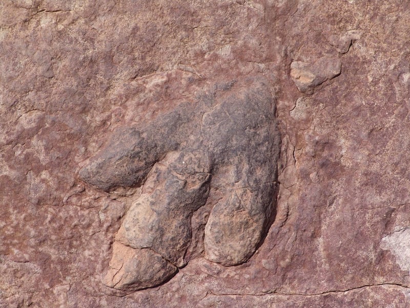 Artifact Preservation